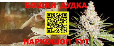 Альфа ПВП Гатчина