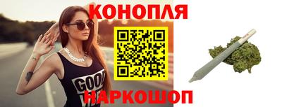 Альфа ПВП Гатчина