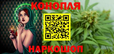 Альфа ПВП Гатчина