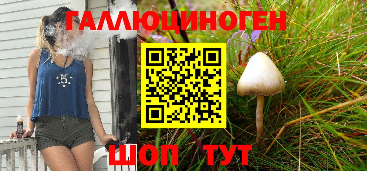 Минусинск  Псилоцибиновые грибы Psilocybine cubensis  Вход с VPN 